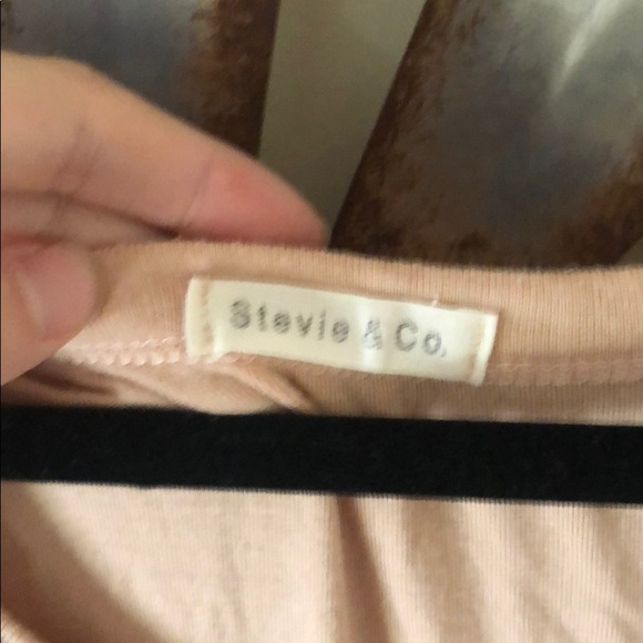 Blush Stevie & Company Dress - Picture 3 of 4